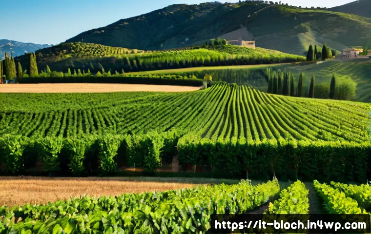 Gestire i registri pubblici con blockchain: quando conviene, costi e criteri di scelta 4 블록체인 기술을 활용한 공공 기록 관리 관련 이미지 2